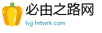 必由之路网